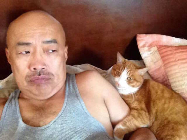 No One Can Hate Cats Forever!