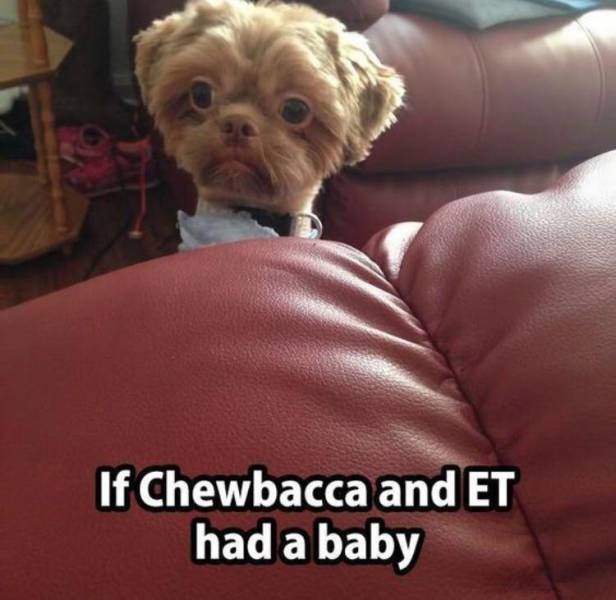 Morning Picdump