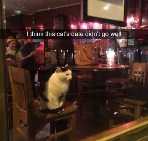 Daily Picdump
