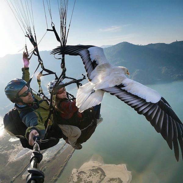 Daily Picdump [WEEKEND EDITION]