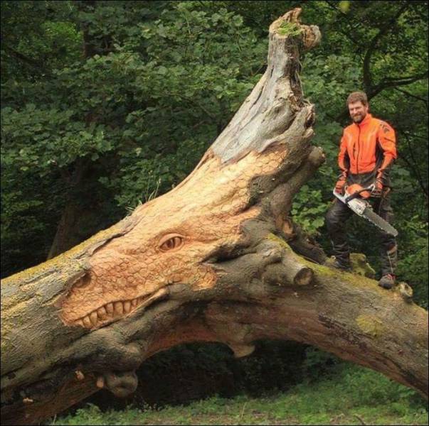 Daily Picdump [WEEKEND EDITION]
