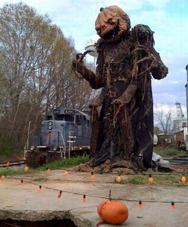 Morning Picdump