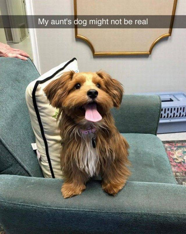 Morning Picdump