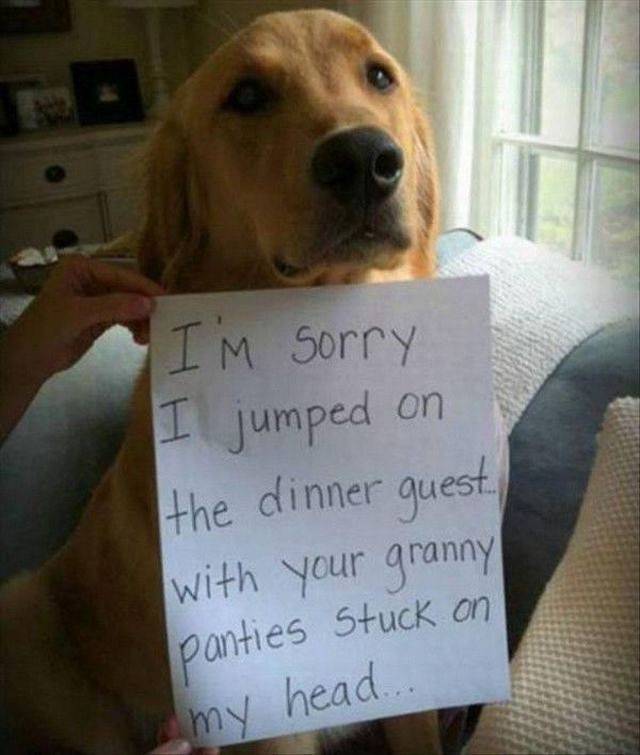 Morning Picdump