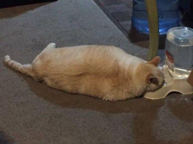 Morning Picdump