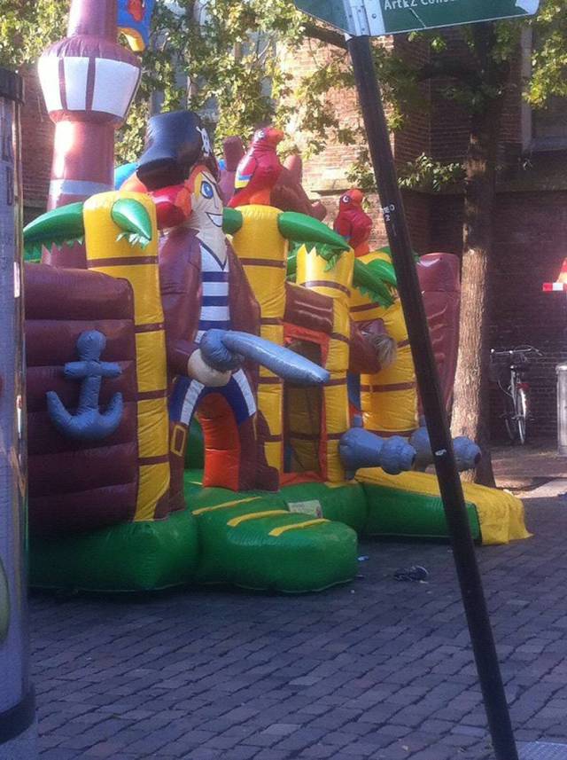 Morning Picdump