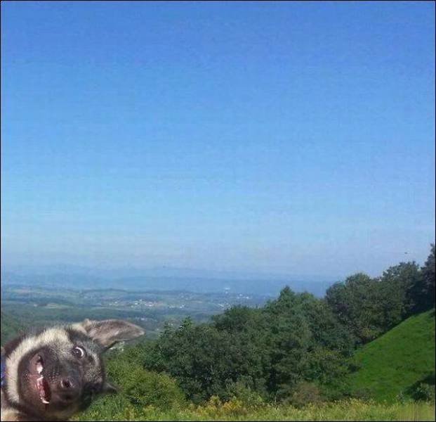 Morning Picdump