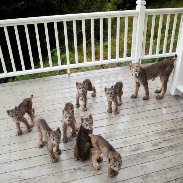 Morning Picdump