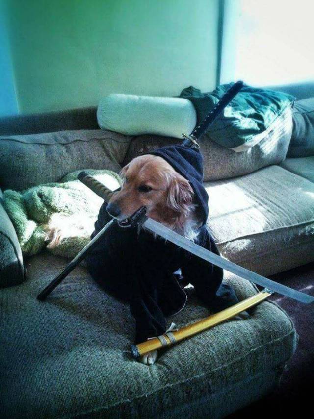 Morning Picdump