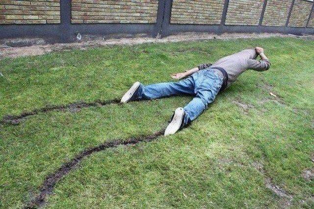Daily Picdump