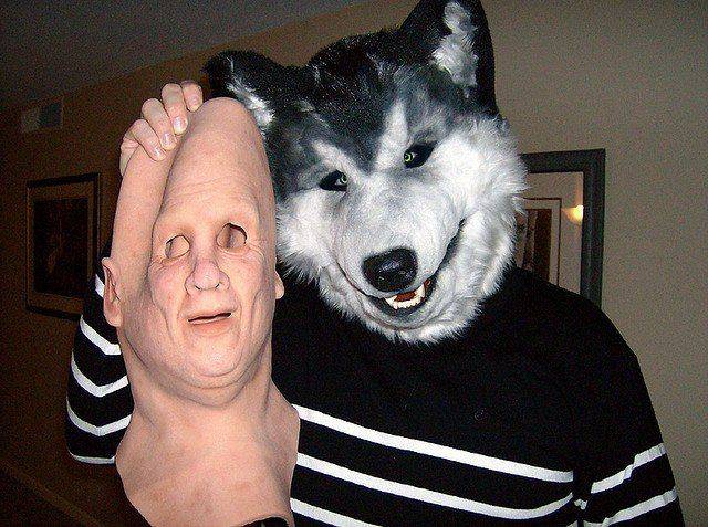 Daily Picdump