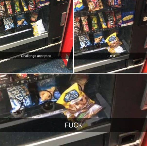 Morning Picdump