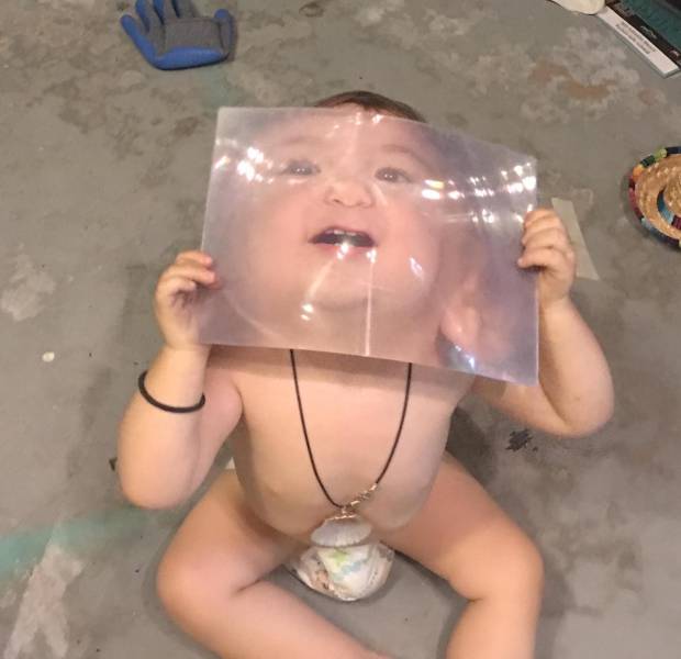 Morning Picdump