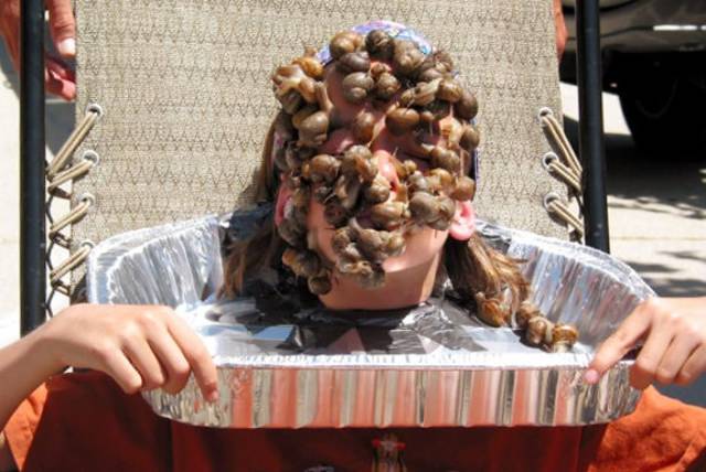 Hard-to-explain WTF Photos