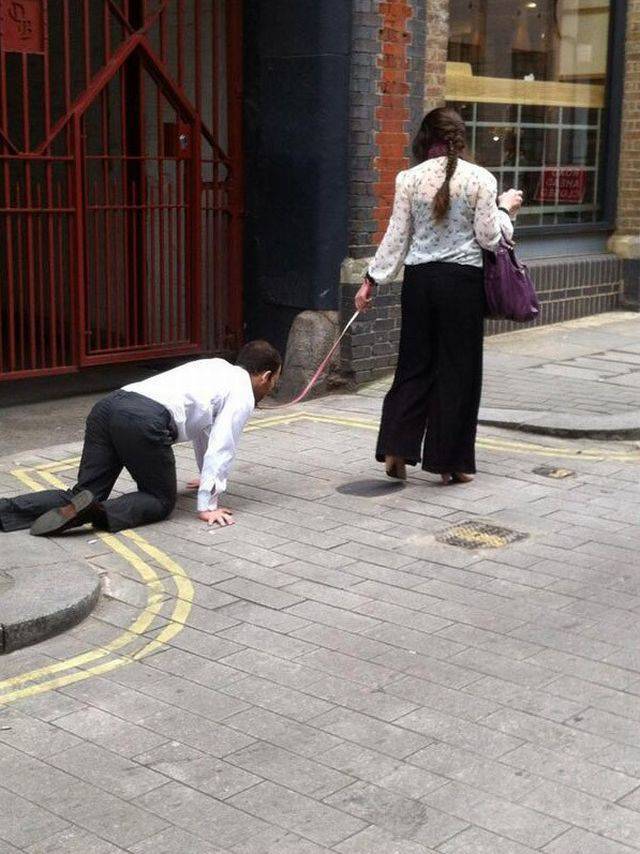 Hard-to-explain WTF Photos