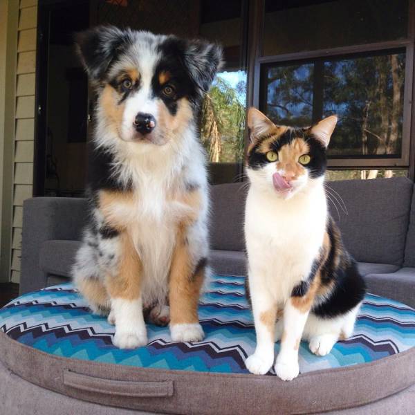 Daily Picdump