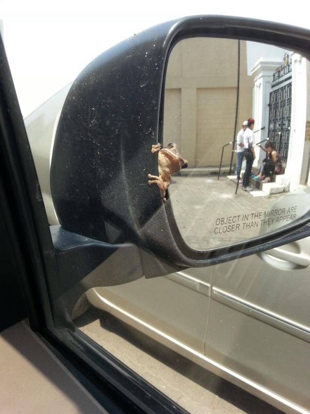 Daily Picdump [WEEKEND EDITION]