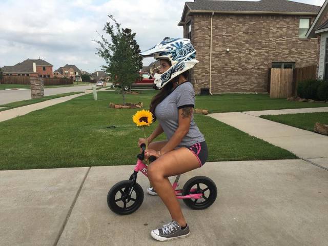 Daily Picdump