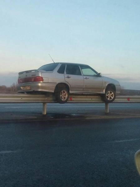 Daily Picdump