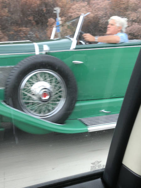 Morning Picdump