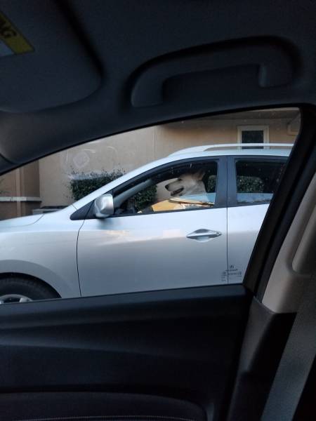 Morning Picdump