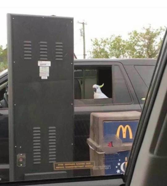 Morning Picdump