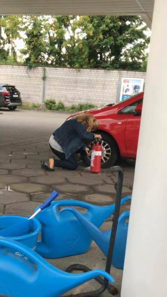 Morning Picdump