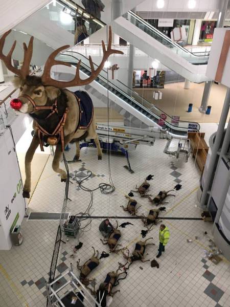 Daily Picdump