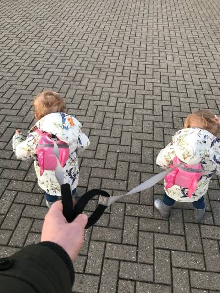 Morning Picdump