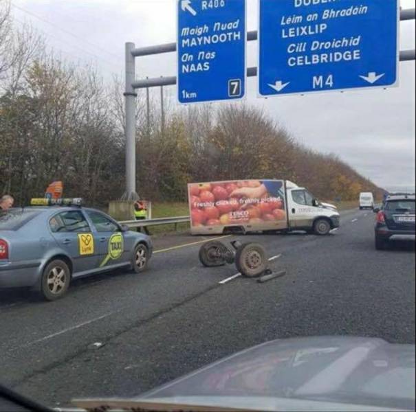 Daily Picdump