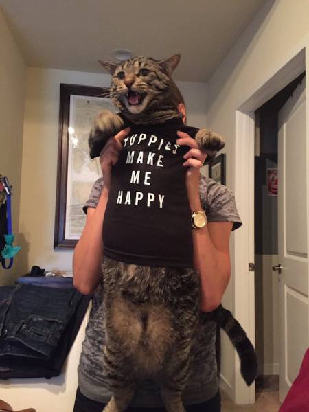 Morning Picdump
