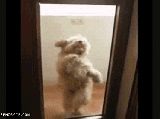 Dance Like It’s Your Last Time Dancing!