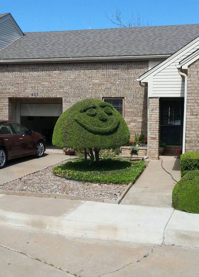 Daily Picdump