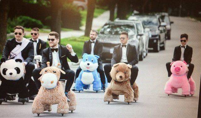 Daily Picdump