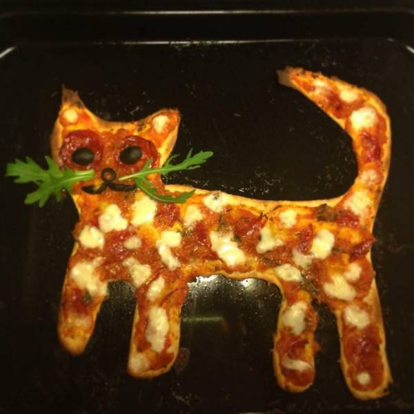 Daily Picdump