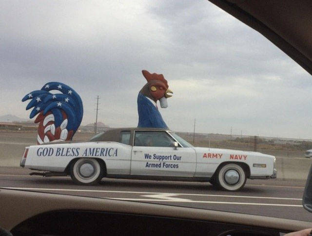Morning Picdump