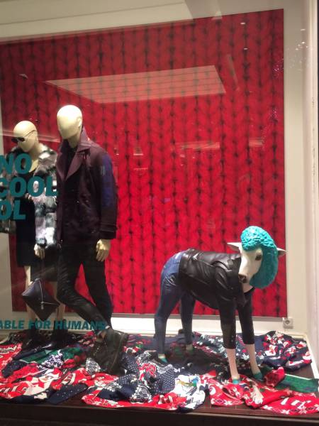 Morning Picdump