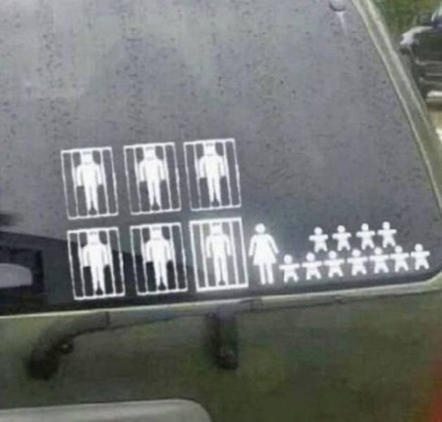 Daily Picdump