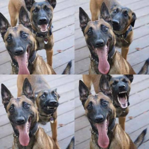 Daily Picdump