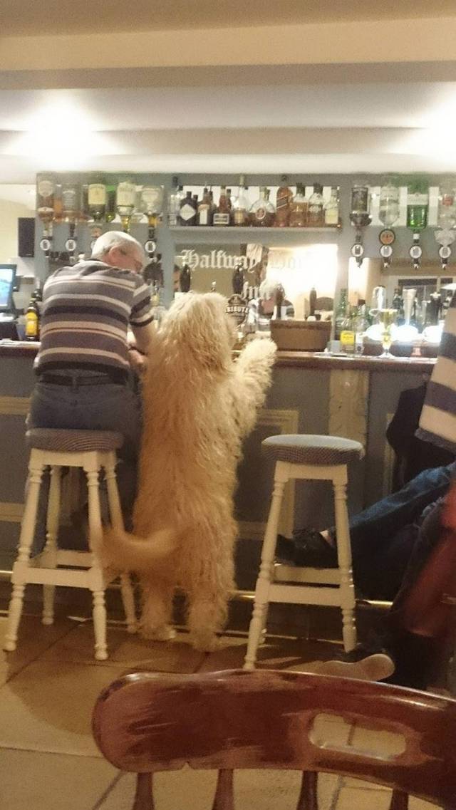 Daily Picdump