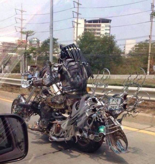 Daily Picdump