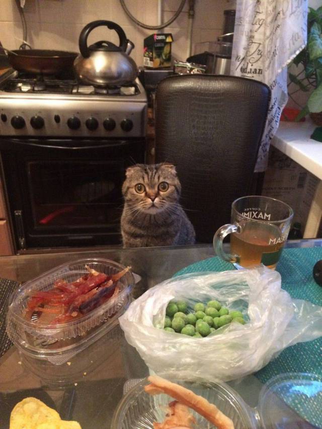 Daily Picdump