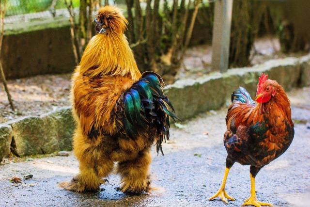 Daily Picdump