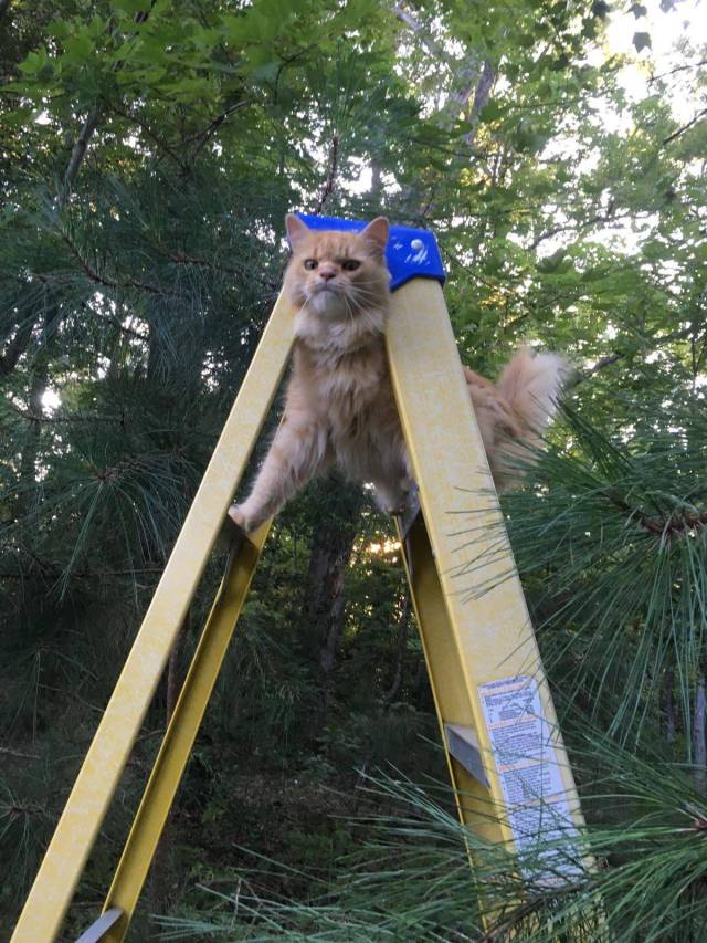 Daily Picdump
