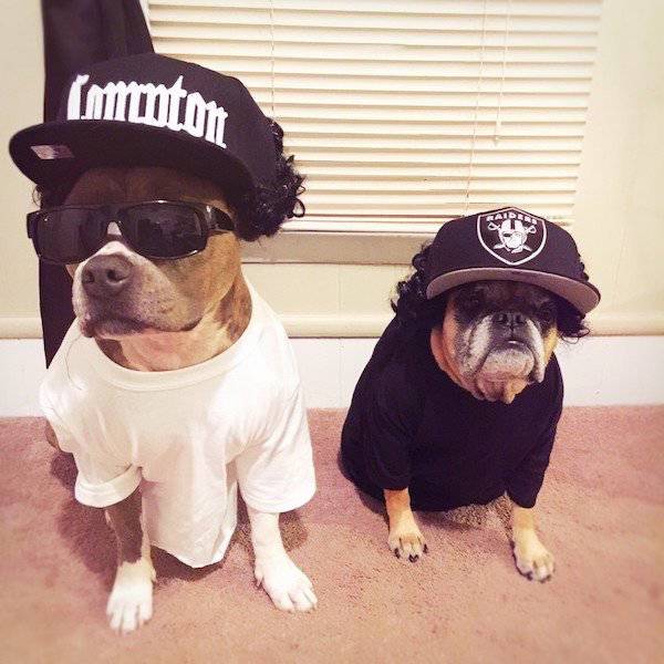 Morning Picdump