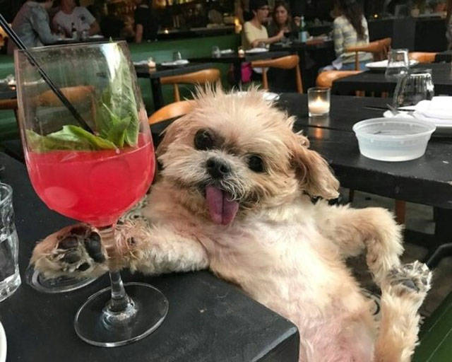 Daily Picdump [WEEKEND EDITION]