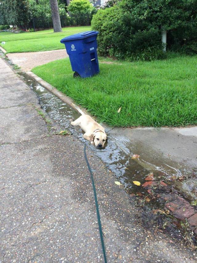 Daily Picdump