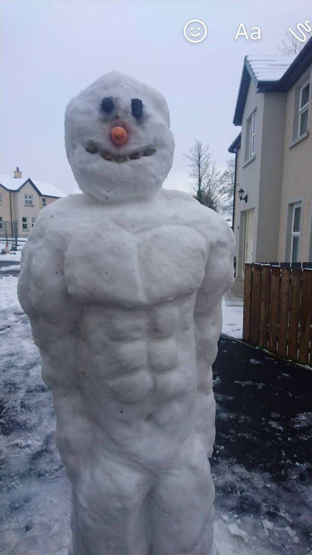 Daily Picdump
