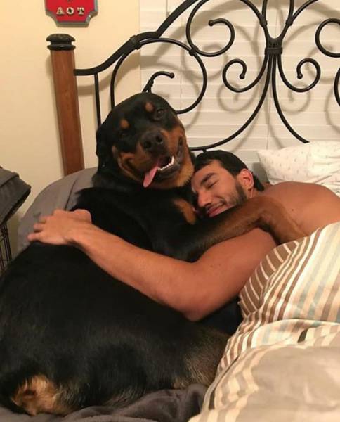 Morning Picdump