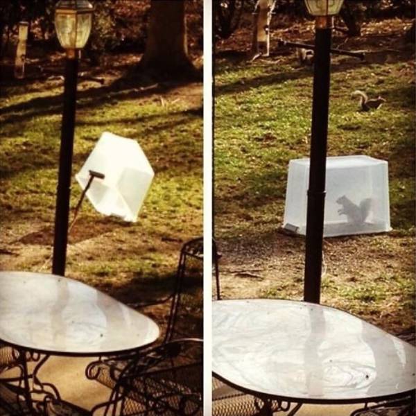 Daily Picdump